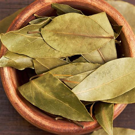 bayleaf plumstead.